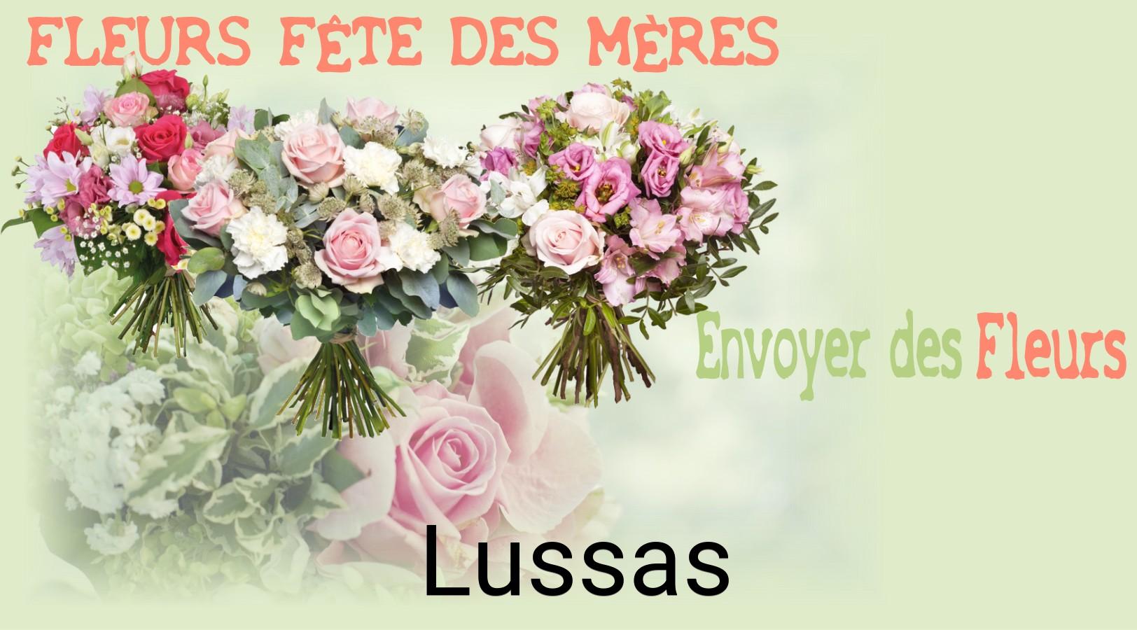 Bouquet de Fête des Mères livré à Lussas